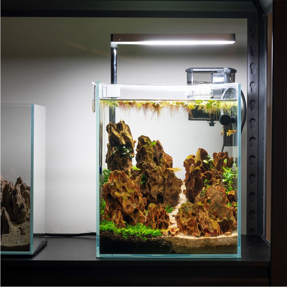 Aquatics Nano Tall Rimless Aquarium, Low Iron Glass Framless Tank, Betta Fish Tank, White Leveling Mat Included (5 Gallon- 25X25X30Cm)